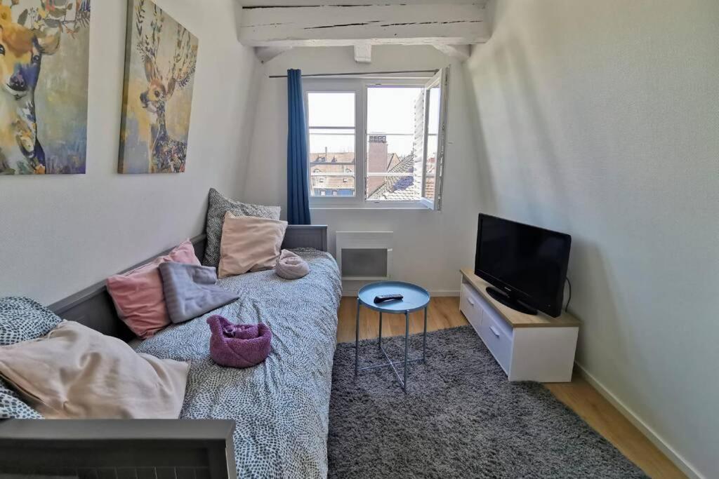 ** Appartement Cathedrale Strasbourg Centre** Kültér fotó